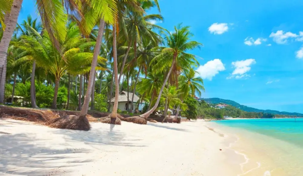 Discover Koh Samui Island – Explore Beaches & Attractions – 09 (1) Discover Koh Samui Island - Maenam Beach